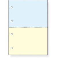 ナカバヤシ ナカバヤシ カット帳票/3分割/6穴無地/1000枚