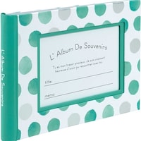 ナカバヤシ ナカバヤシ ウィンドウカバーアルバム ビビット ブルー FTPW106B 1個