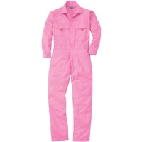 �\�E���@�K�a�@�X�W�O�O�@�Ȃ��@�s���N�@�l