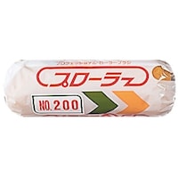 �D��Y�Ɓ@�D��Y�Ɓ@�v���[���[�@�m�n�D�Q�O�O�@�X�C���`