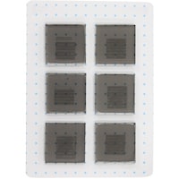 �a�C�Y�Ɓ@�v�`�j�h�@�h�U�E����~�߃Q���@�Q�O�w�Q�O�@�U����@�a�f�k�O�O�T�@�P�܁i�U�j