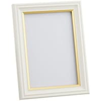 浅沼商会 フジカラー 肖像額縁 L パールホワイト