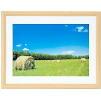 浅沼商会 フジカラー 木製額縁YM3木地 アクリル ワイド4切