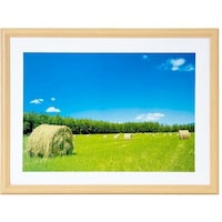 浅沼商会 フジカラー 木製額縁YM3木地 アクリル A3