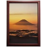 浅沼商会 フジカラー デジフォトフレームD3 A4 ローズ