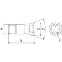 ���Z���@���Z���@���i�@�˂�