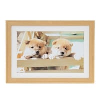 浅沼商会 フジカラー 木製額縁 YM9(木地) ワイド6切