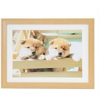 浅沼商会 フジカラー 木製額縁 YM9(木地) A4