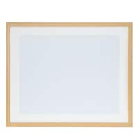 浅沼商会 フジカラー 木製額縁 YM9(木地) 全紙