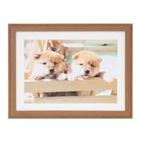 浅沼商会 フジカラー 木製額縁 YM9(ブラウン) A4