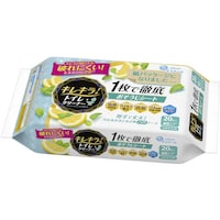 EBS エリエール キレキラ!トイレクリーナー 1枚で徹底お掃除シート シトラスミント つめかえ用 (10枚×2P)