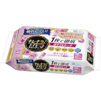 �d�a�r�@�G���G�[���@�L���L���I�g�C���N���[�i�[�@�P���œO�ꂨ�|���V�[�g�@�n�b�s�[���[�Y�@�߂����p�@�i�P�O���~�Q�o�j