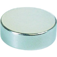 下西 下西 丸型ネオジム磁石 NEO42 1個