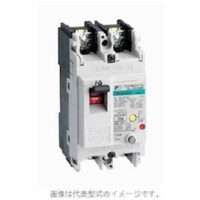 富士電機 富士電機 GTWINシリーズ漏電遮断器 JIS CE CCC品 2極 EW32AAG2P005B 1個