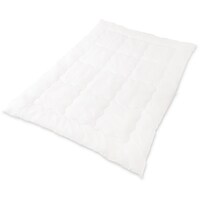 �A�C���X�I�[���}�@�h�q�h�r�@�T�V�S�U�P�S�@�ӂ���|���ӂƂ�@����@�e�v�h�j�r�@�P��