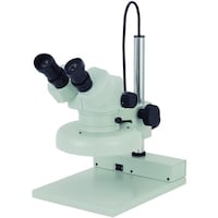 �J�[�g���@�J�[�g���@�c�r�y�S�S�o�e�P�T�Q�U�O�@���̌������@�l�r�S�T�W�Q�P�T�Q�U�@�P��