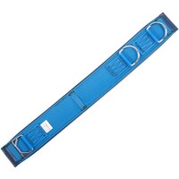 藤井電工 TSUYORON ワークポジショニング用器具用補助ベルト FCー320 青 Mサイズ WPFC320BL5MJANBP 1本