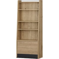 アイリスオーヤマ IRIS 298105 アイアンウッドマガジンラック ブラック/アッシュブラウン IWMG5RBT 1台