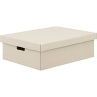 アイリスオーヤマ IRIS 106391 段ボール収納ケース2枚セット 370×490×160 ホワイト DB490W 1S(2枚)