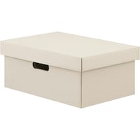 アイリスオーヤマ IRIS 106389 段ボール収納ケース2枚セット 370×250×160 ホワイト DB250W 1S(2枚)