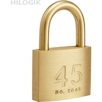 ハイロジック ハイロジック 2045D シリンダー南京錠45mm同一キー 3本キー付