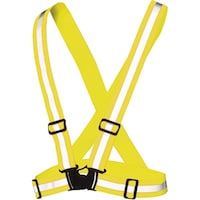 �N���_���}�@�N���_���}�@�X�g���b�`���S�x���g�@�P�C�R�E�C�G���[�@�e