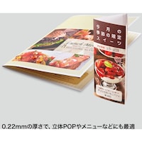 サンワサプライ SANWA カラーレーザー用 耐水紙・特厚 LBPWPF22MDPN 1冊