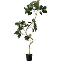 �m�`�h�j�h�@�l�H���؁i�c�C�X�g�E���x���[�@�`�f�m�P�Q�P�@�P��