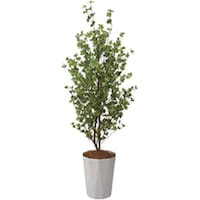 �m�`�h�j�h�@�l�H���؁i�h�E�_���c�c�W�j�@�`�f�S�X�P�@�P��