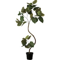 �m�`�h�j�h�@�l�H���؁i�c�C�X�g�E���x���[�@�`�f�m�P�Q�O�@�P��