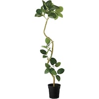 �m�`�h�j�h�@�l�H���؁i�c�C�X�g�A���e�V�}�@�`�f�m�P�P�O�@�P��