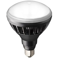 岩崎電気 岩崎 LEDアイランプ11Wタイプ(本体:黒色 光色:昼白色)