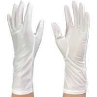 ウインセス WINCESS 防塵手袋 ロングタイプ L (10双入)