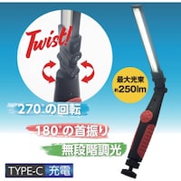 ワールドツール アストロプロダクツ ワークライト AP COB充電式フレキシブルワークライト WL905 2005000009051 1個