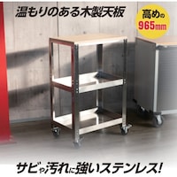 ワールドツール アストロプロダクツ ツールワゴン AP ステンレスワゴン3段SW166