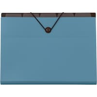 ナカバヤシ ナカバヤシ バッグインファイルA46ポケットブルー DFA411EB 1冊