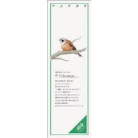 ���j�b�g�@���j�b�g�@�V�[���M�������[�@�z�I�W���@�o�u�b�X�e�b�J�[�@�P�O�O�O�~�R�Q�O�@�X�P�U�S�Q�@�P��