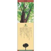 ���j�b�g�@���j�b�g�@�V�[���M�������[�@���₫�@�o�u�b�X�e�b�J�[�@�P�O�O�O�~�R�Q�O�@�X�P�U�T�Q�@�P��