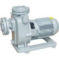 寺田 TERADA 陸上ポンプ セルプラポンプ 全閉外扇屋外形電動機付 60Hz 3.7kW 全揚程47m MPJ363.71E60HZ 1台