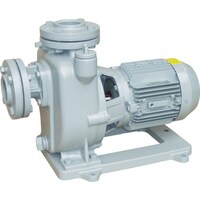 寺田 TERADA 陸上ポンプ セルプラポンプ 全閉外扇屋外形電動機付 50Hz 2.2kW 全揚程27m MPJ452.21E50HZ 1台