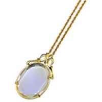 �r�c�����Y�H�Ɓ@�r�c�����Y�@�y���_���g���[�y�@�{���S�{�@�R�Q�T�f�@�P��