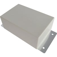 テイシン テイシン プラスチックケース アイボリー 54X84X35