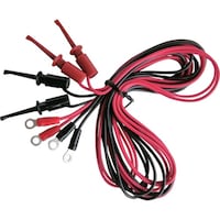 �e�C�V���@�e�C�V���@�[�q�t�e�X�g���[�h�@�P�O�O�����@�ے[�q�̂h�b�N���b�v�@�i�S�{���j