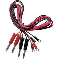 �e�C�V���@�e�C�V���@�[�q�t�e�X�g���[�h�@�P�O�O�����@�ے[�q�̃o�i�i�v���O�@�i�S�{���j