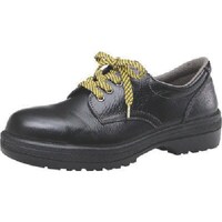 �~�h�����S�@�~�h�����S�@�Ód�Z�C�@�Q�R�D�T����