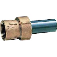 �s�a�b�@�s�a�b�@���r�L�k�p�蕪�~����p�Q�O����