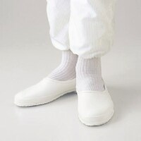 �S�[���h�E�C���@�f�n�k�c�v�h�m�@�`�b�V���[�Y���Q�R�D�O��