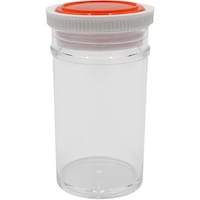 �A�Y�����@�X�`���[���_�r�i�W�{�r�j�@�S�O���k�@�r�S�O