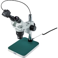 �z�[�U���@�g�n�y�`�m�@���̌������@�k�j�h�s�T�S�R�@�P�r