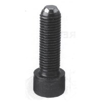 �j���[�X�g�����O�@�j���[�X�g�����O�@�N�����s���O�@�X�N�����i�a�e�^�C�v�j�@�t���b�g�^�C�v�l�U�~�P�S